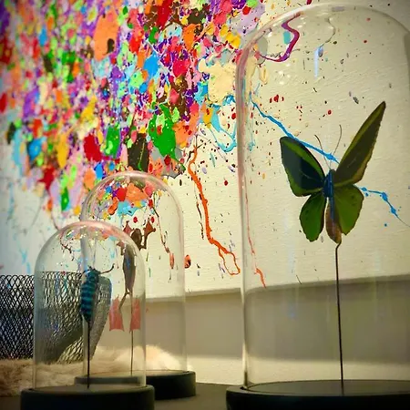 公寓 Sunny Deluxe 克诺克－海斯特