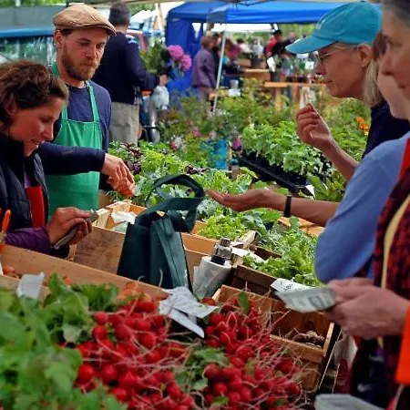 Sunny Deluxe * 克诺克－海斯特