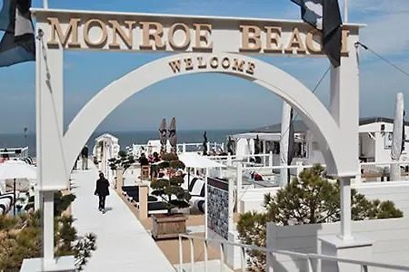 Sunny Deluxe 克诺克－海斯特